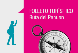 Diseño de Información Folleto Turístico Ruta del Pehuen